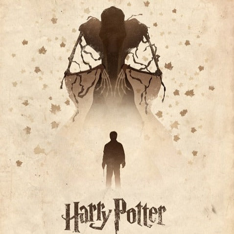 Obraz na plátne Harry Potter