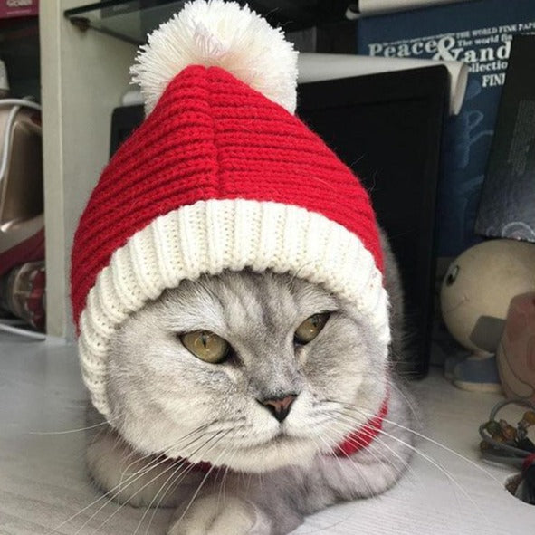 Vianočná pletená kapucňa pre zvieratá