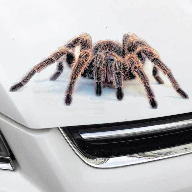 Samolepka na auto v tvare pavúka