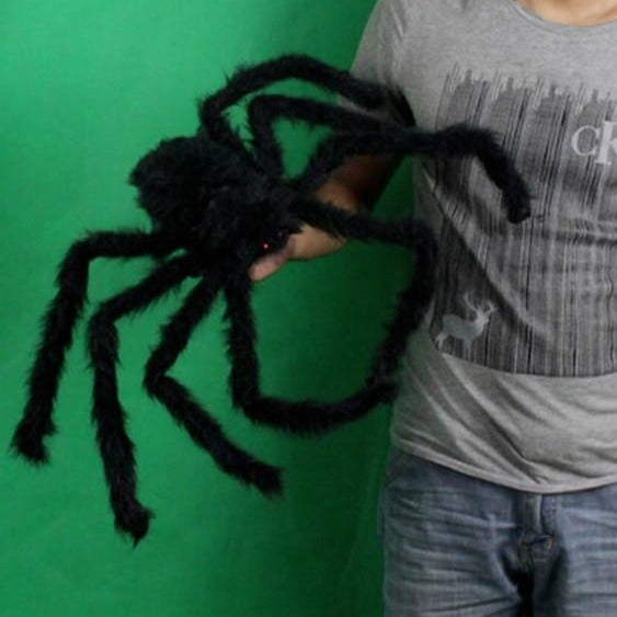 Veľký chlpatý pavúk