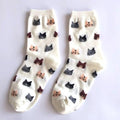 Dámske ponožky s mačkami