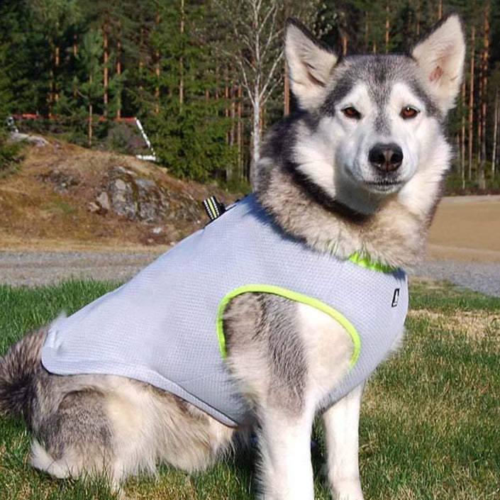 Letná chladivá vesta pre psa s reflexnými prvkami