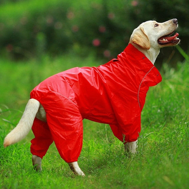Reflexná bunda pre psov