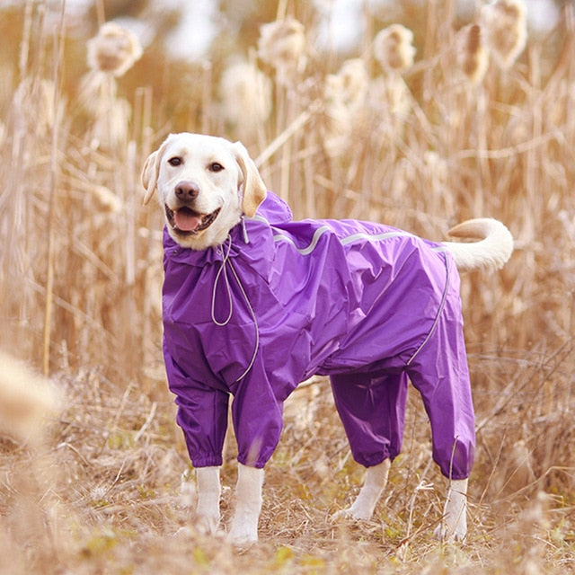 Reflexná bunda pre psov