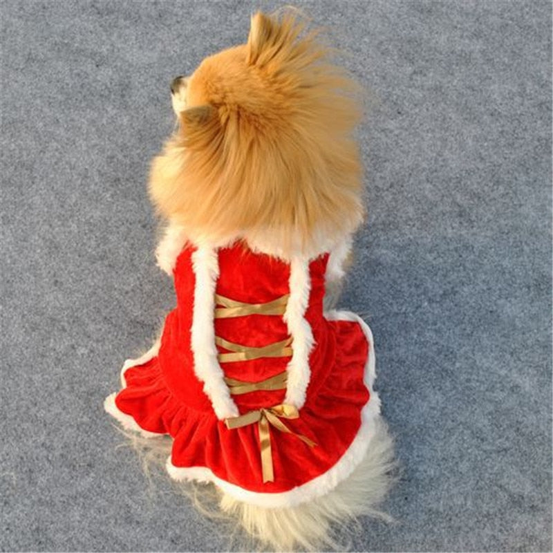 Vianočný obleček pre psov