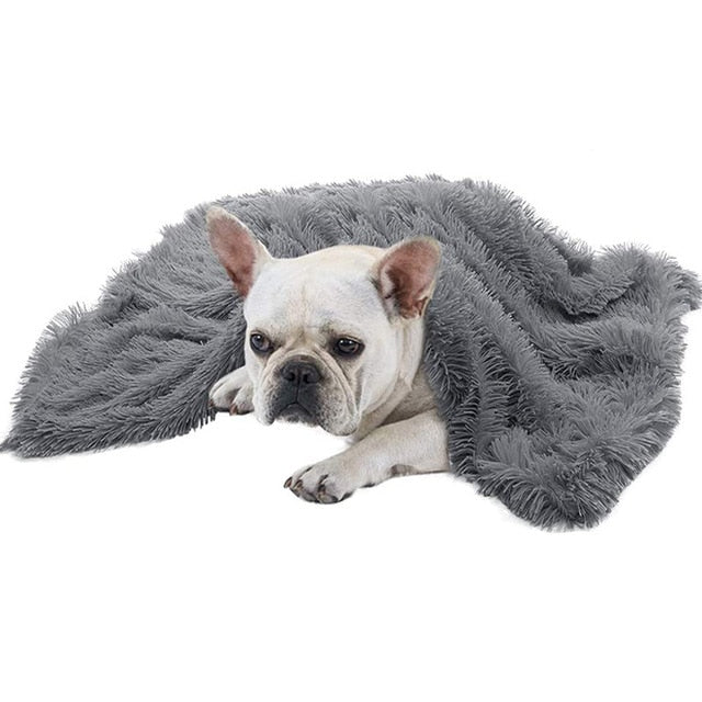 Chlpatá deka pre psov