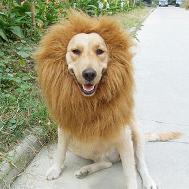 Kostým leva pre psa