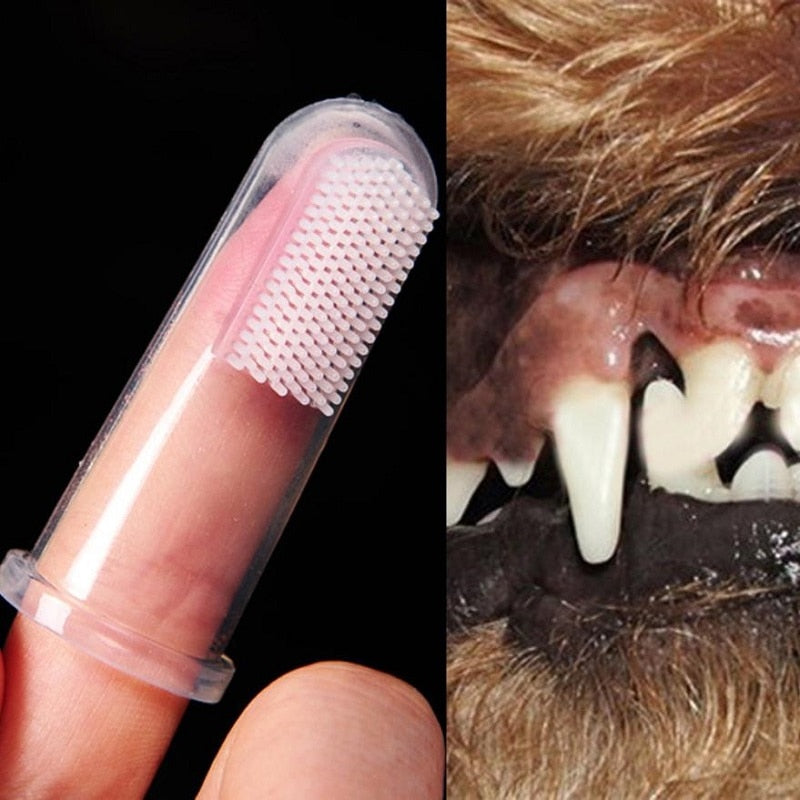 Kefka na zuby pre zvieratá