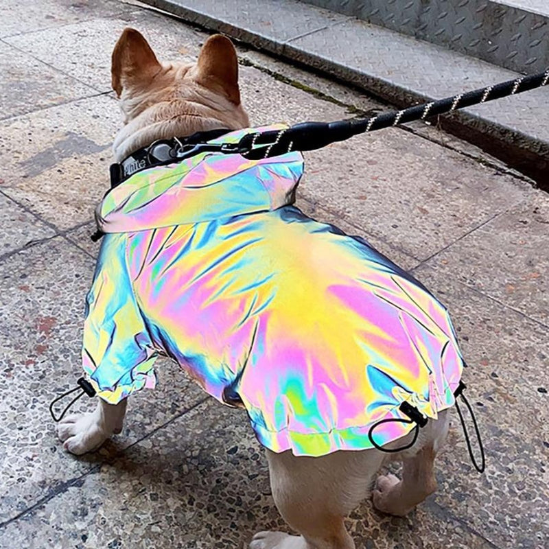 Holografický kabát pre psov