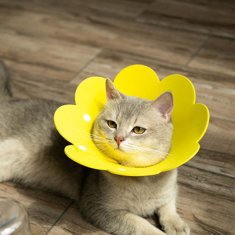 Golier pre mačku v tvare kvetinky