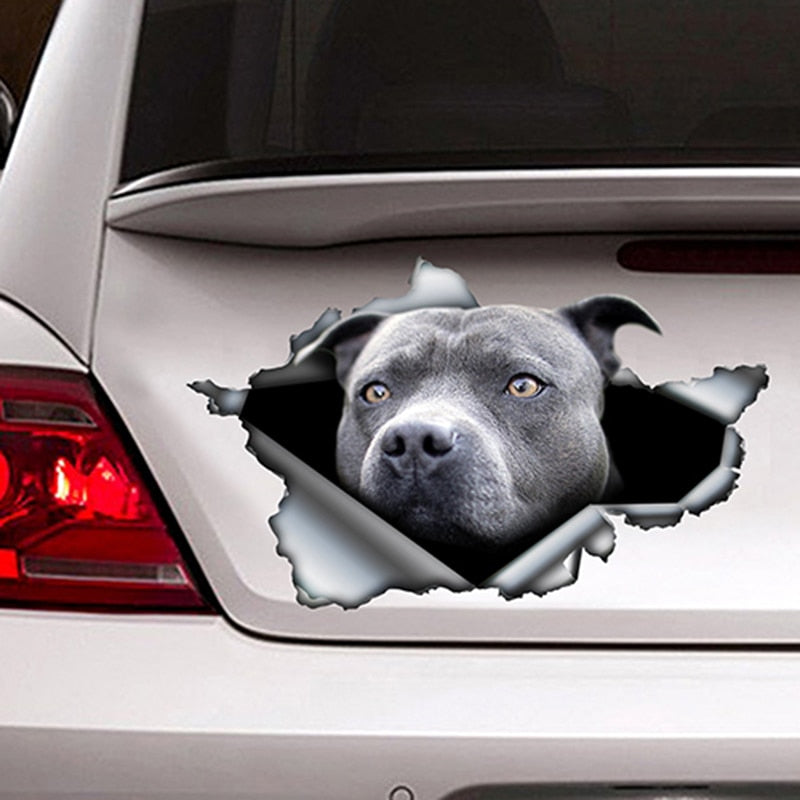 Nálepka na auto s pitbullom