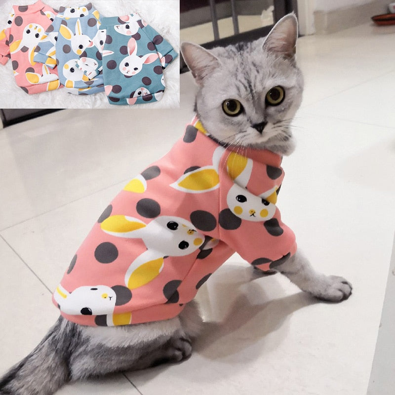 Teplé oblečenie pre mačku