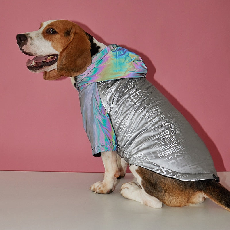 Holografický kabát pre psov