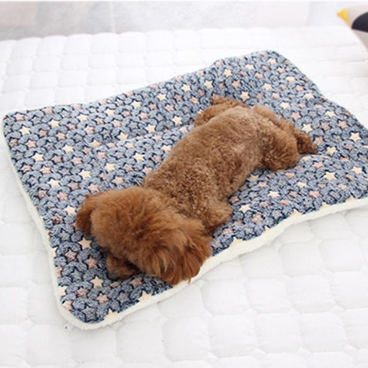 Hrejivá deka pre psa